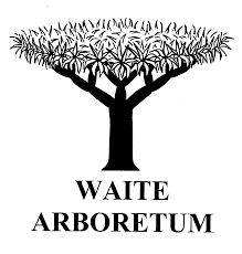 Friends of Waite Arboretum Logo